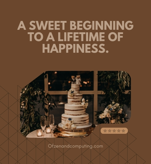Wedding Cake Captions For Instagram (2022)