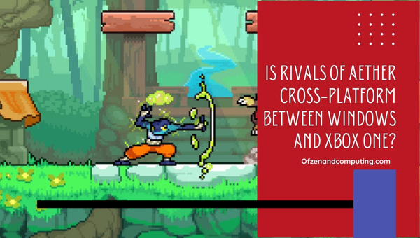 Is Rivals Of Aether Cross-Platform Between PC And Xbox One?