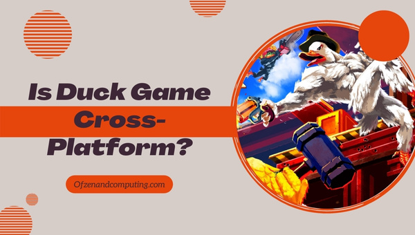 Is Duck Game Cross-Platform in 2022?