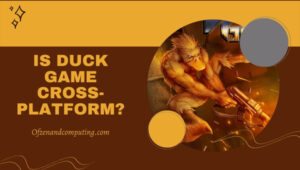 Is Duck Game Cross-Platform in [cy]? [PC, PS4/5, Switch]