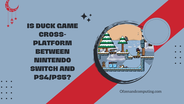 Is Duck Game Cross-Platform Between Nintendo Switch and PS4/PS5?