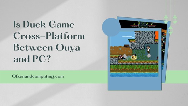 Is Duck Game Cross-Platform Between Ouya and PC?