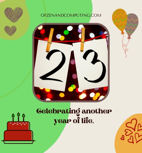 Short 23rd Birthday Captions For Instagram (2022)