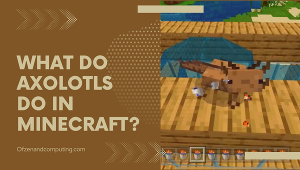 What Do Axolotls Do In Minecraft?