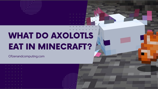 What Do Axolotls Eat In Minecraft?