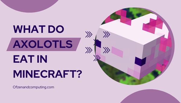 What Do Axolotls Eat In Minecraft? [Detailed Guide 2022]