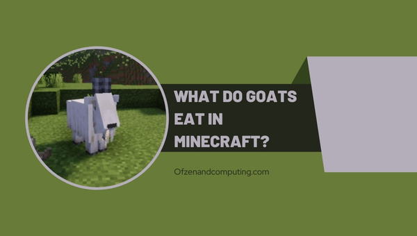 What Do Goats Eat In Minecraft? [Detailed Guide 2022]