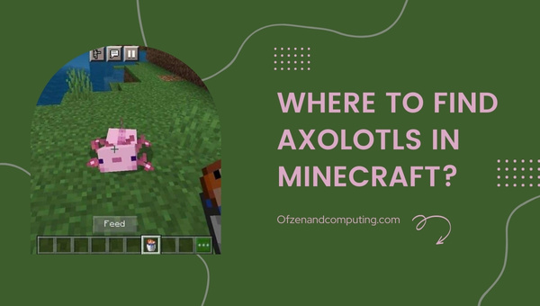 Where To Find Axolotls In Minecraft?