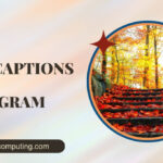 Fall Captions For Instagram ([cy]) Cute, Funny, Good