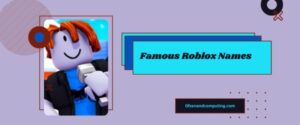 5500 Good Roblox Usernames Ideas 2025 Girls Boys Names Famous Roblox Names 300x125 