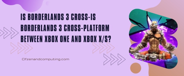 Is Borderlands 3 Cross-Platform Between Xbox One And Xbox Series X/S?