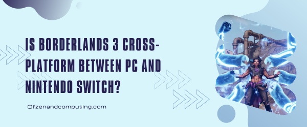 Is Borderlands 3 Cross-Platform Between PC And Nintendo Switch?