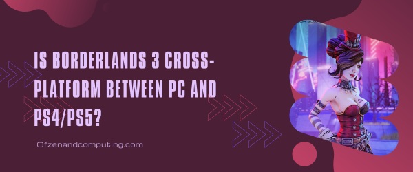 Is Borderlands 3 Cross-Platform Between PC And PS4/PS5?