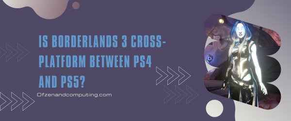 Is Borderlands 3 Cross-Platform Between PS4 And PS5?