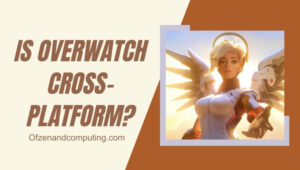 Overwatch è multipiattaforma in [cy]? [La verità]