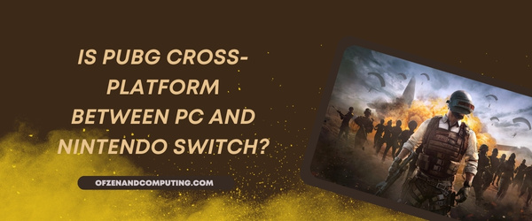 O PUBG é multiplataforma entre PC e Nintendo Switch?