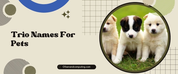 Trio Names For Pets (2025)