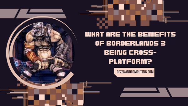 What Are The Benefits Of Borderlands 3 Being Cross-Platform?