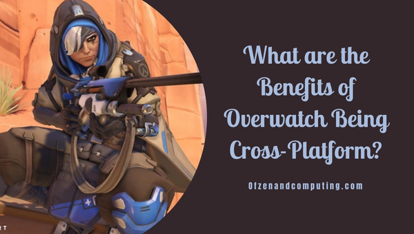 What are the Benefits of Overwatch Being Cross-Platform?