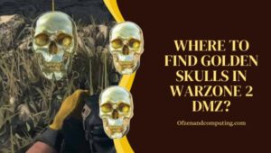 Where To Find Golden Skulls In Warzone 2 DMZ? [All Locations]