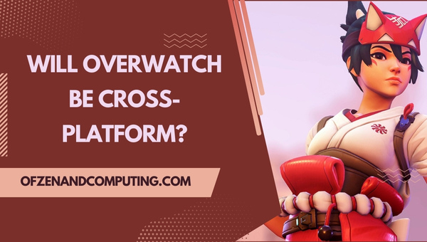 Will Overwatch Be Cross-Platform?