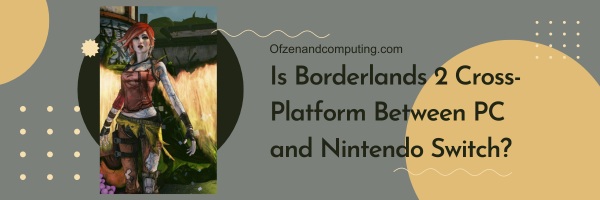 Adakah Borderlands 2 Cross-Platform Antara PC dan Nintendo Switch?