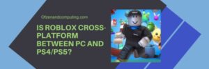 Is Roblox Finally Cross Platform In 2026 Updated Is Roblox Cross Platform Between PC And PS4 PS5 300x100 