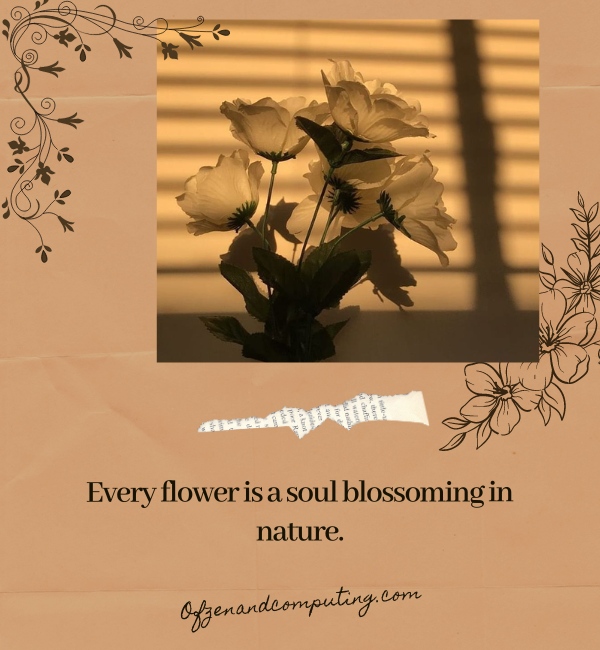 Aesthetic Flower Captions For Instagram (2025)