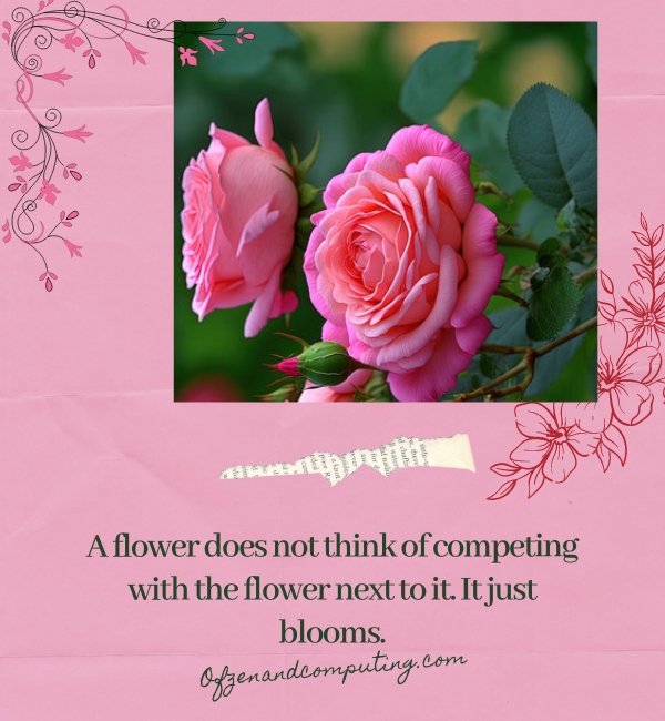 Beautiful Flower Captions For Instagram (2025)