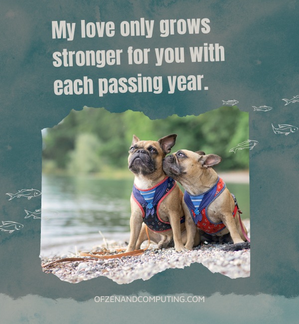 Dog Lake Captions For Instagram (2025)