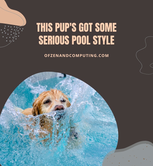 Dog Pool Captions For Instagram (2025)