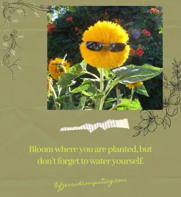 Funny Flower Captions For Instagram (2025)