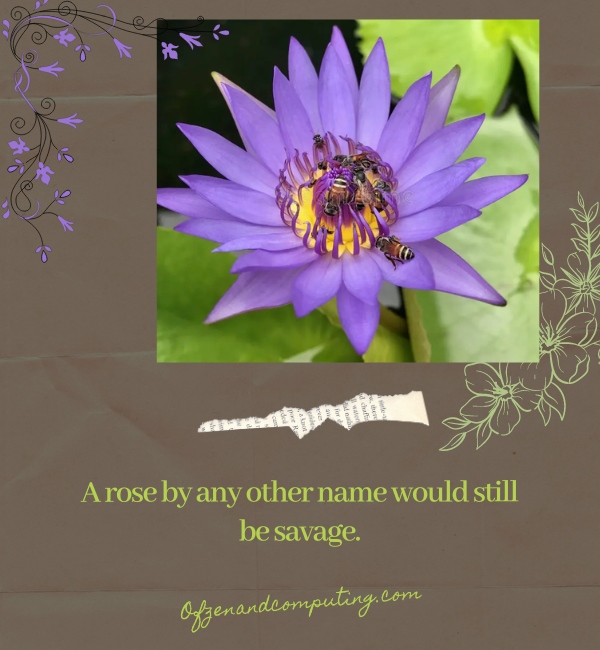 Savage Flower Captions For Instagram (2025)