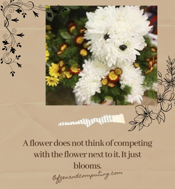 Witty Flower Captions For Instagram (2025)