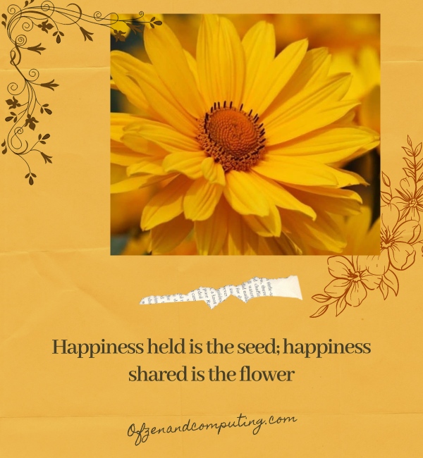 Yellow Flower Captions For Instagram (2025)