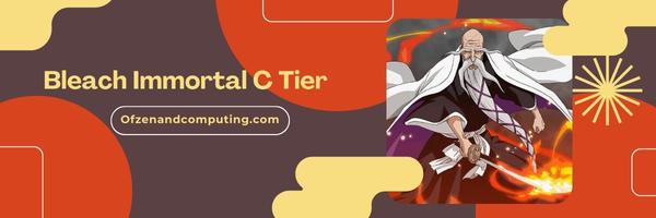 Bleach Immortal C Tier List 2025- The Steady Support