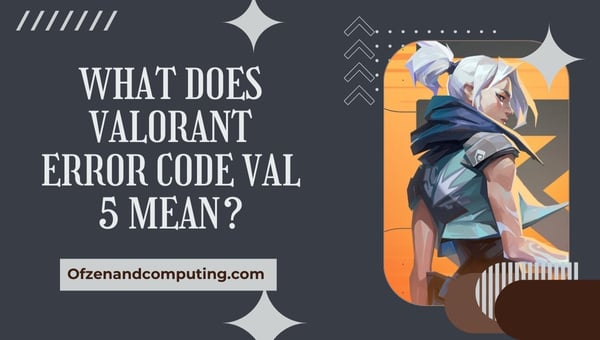 What does Valorant Error Code VAL 5 mean?