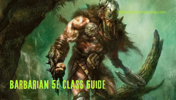 Barbarian 5E Class Guide