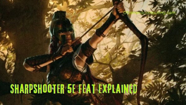 Sharpshooter 5E Feat Explained