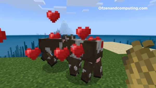 Breeding-Animals