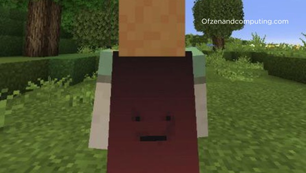 How To Get Capes In Minecraft?