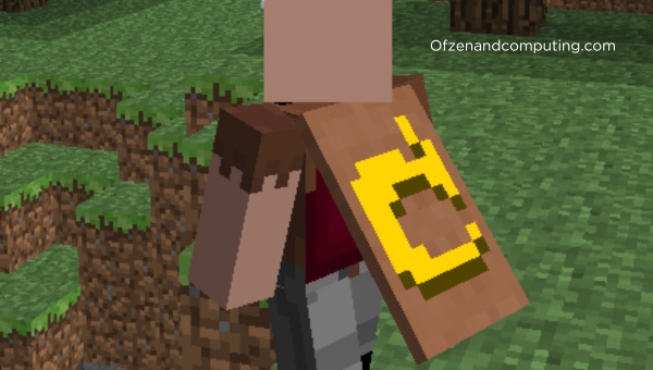 What is Capes In Minecraft?