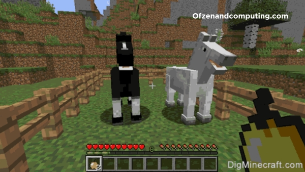 Breeding-The-Horses