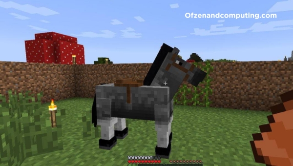 Taming-The-Horses