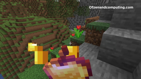 What are the Sources of golden apples