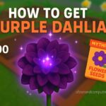 How to Get Purple Dahlia in Grow a Garden