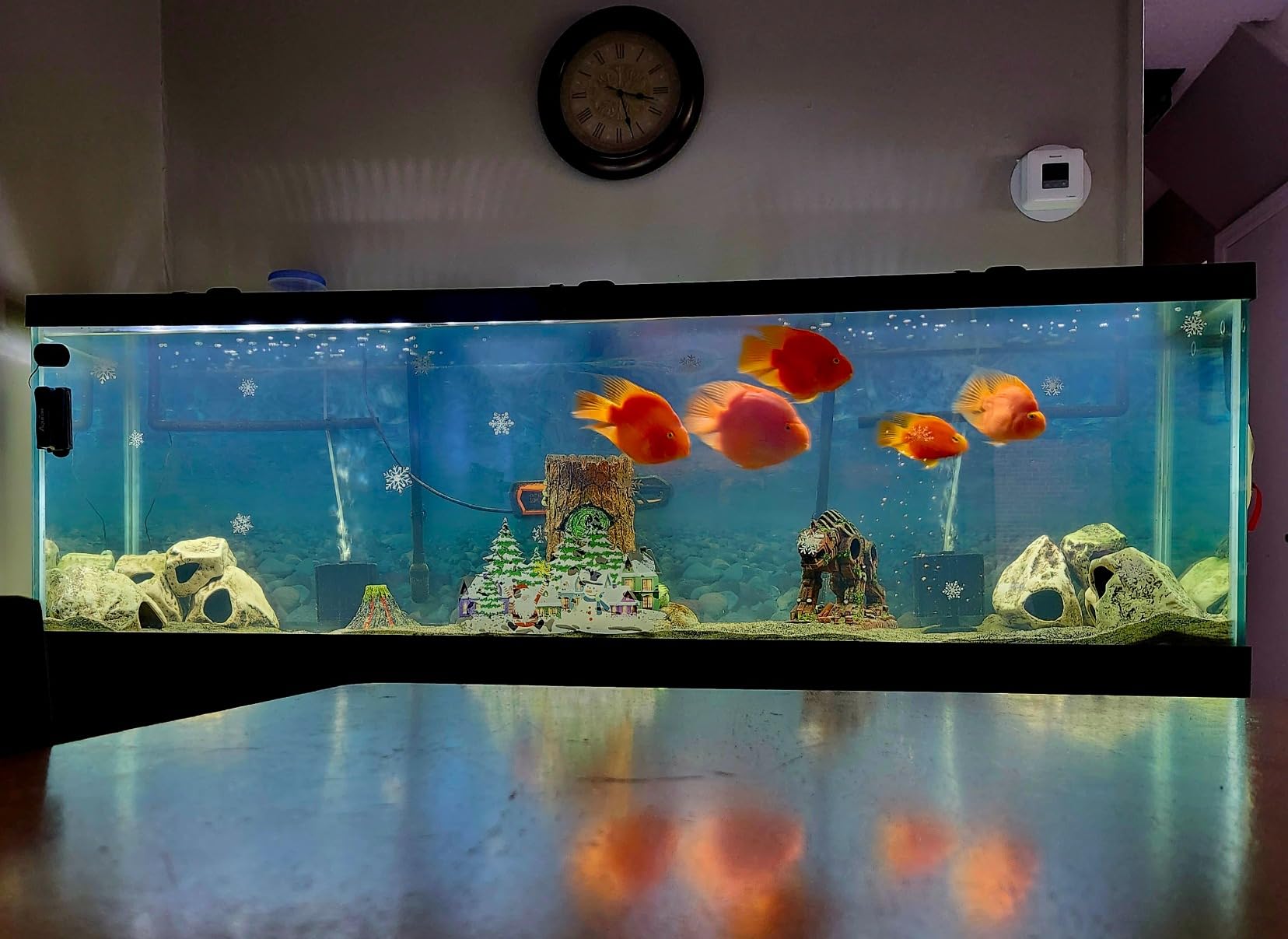 Python No Spill Clean and Fill Aquarium Maintenance System, Gravel Cleaner and Water Changer, 50 Foot - Customer Photo 2