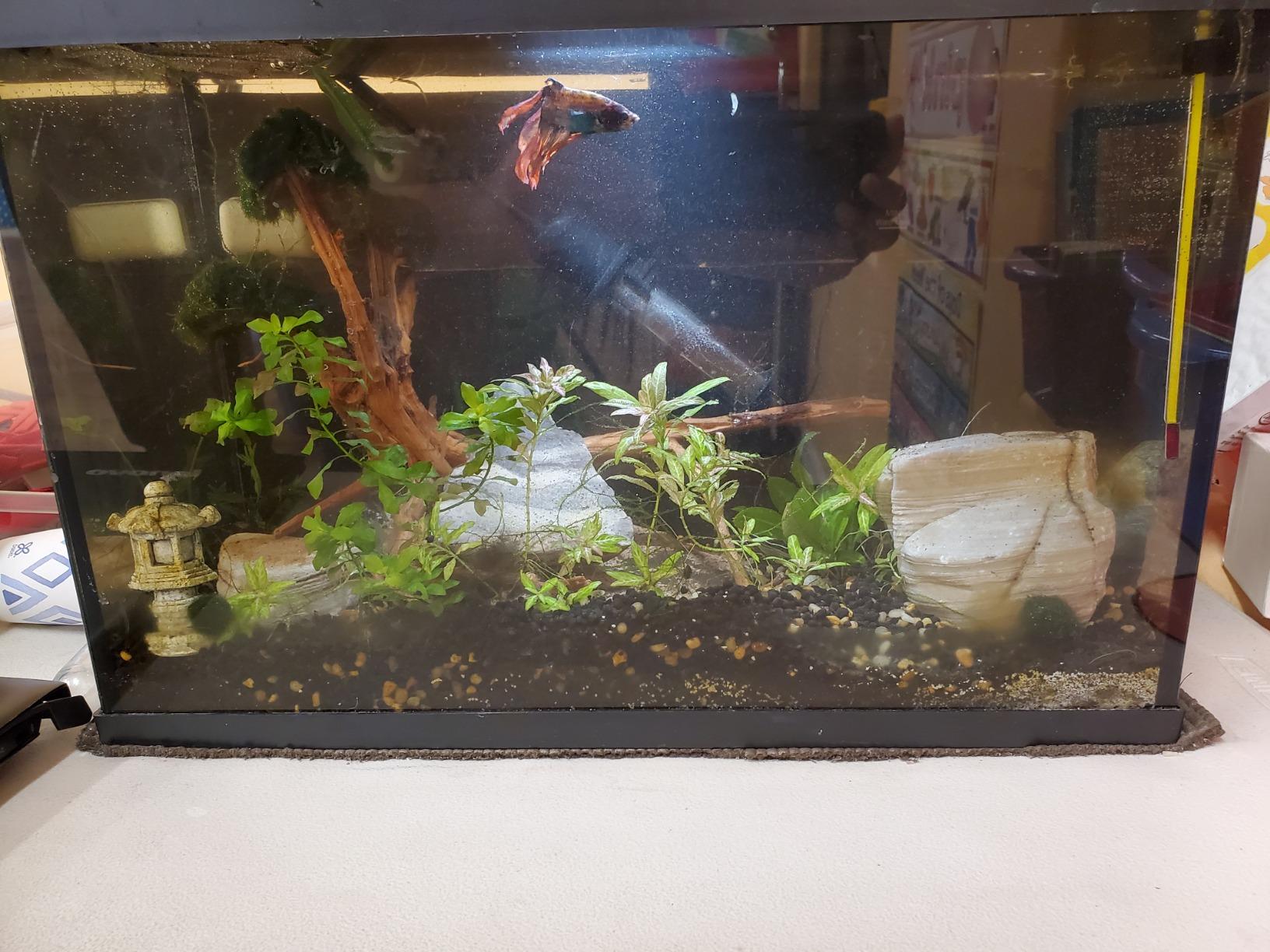 Python Pro-Clean Aquarium Gravel Washer & Siphon Kit, Small - Customer Photo 3