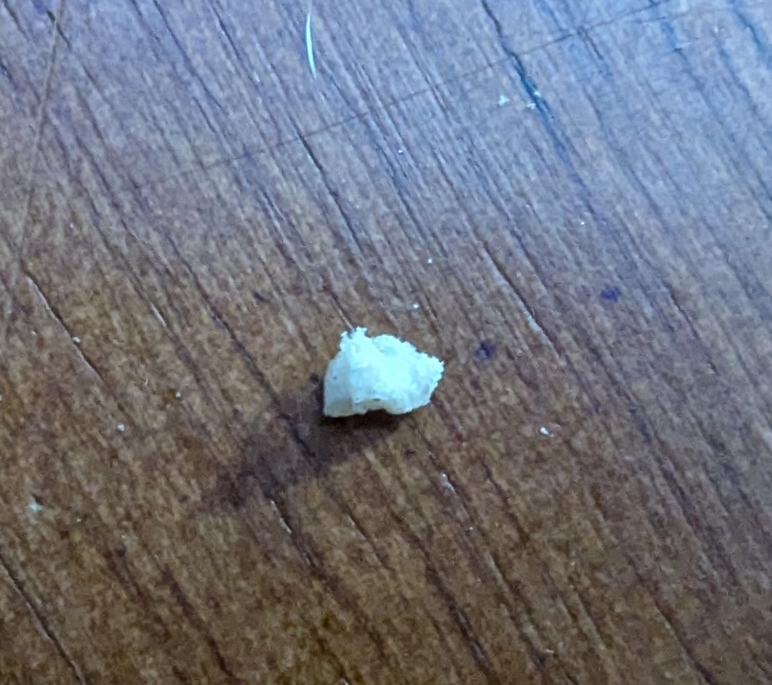 Bumble Bee White Flake Crab Meat in Water, 6 oz Can - 16g Protein & 1g Carb Per Serving - Wild Caught, Flaky, Drain Before Use, 6 Ounce (Pack of 1) - Customer Photo 2