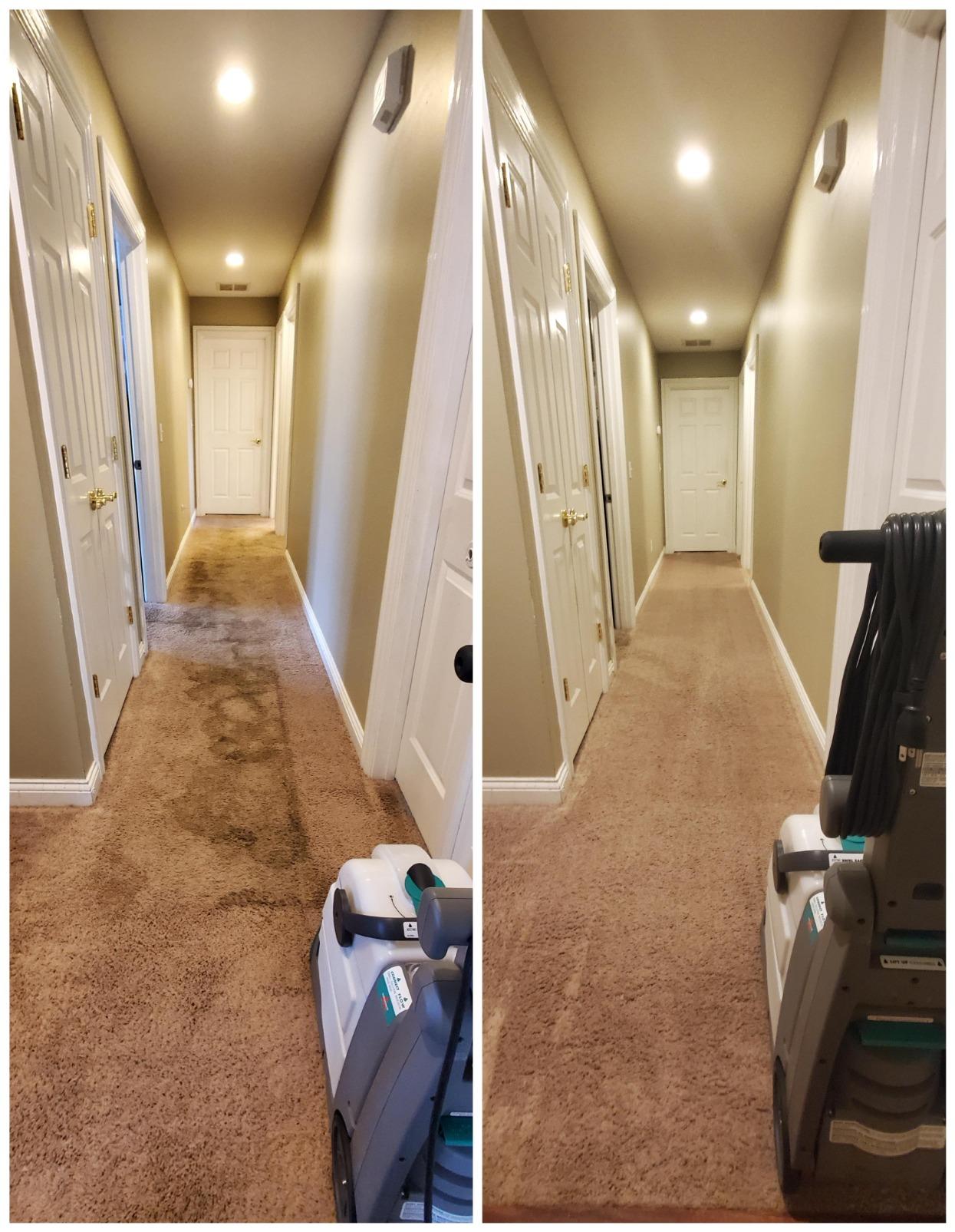 BISSELL® Big Green® Professional Carpet Cleaner with XL DirtLifter PowerBrush, 9-inch Long Reach Hose, 6-inch Tough Stain Tool, Includes BISSELL PRO MAX Formula with Stain Protect Technology Customer Review BISSELL® Big Green® Professional Carpet Cleaner with XL DirtLifter PowerBrush, 9-inch Long Reach Hose, 6-inch Tough Stain Tool, Includes BISSELL PRO MAX Formula with Stain Protect Technology - Customer Photo 3